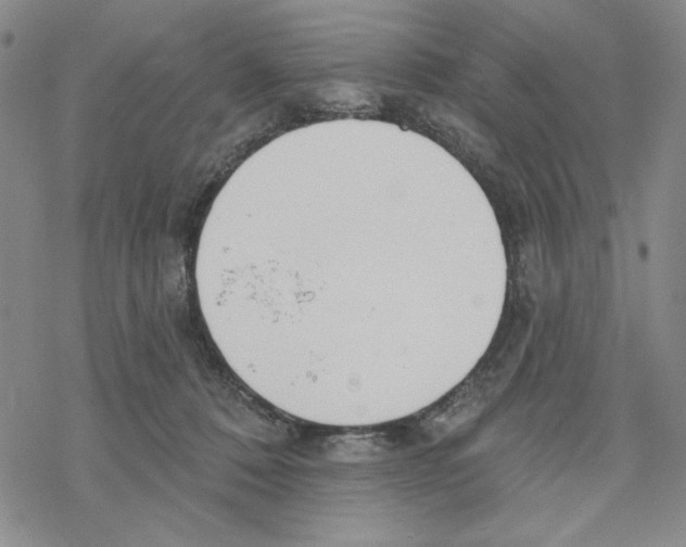 X0000069360320200606091607