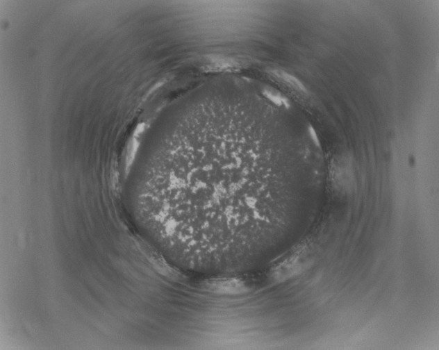 X0000069360322200606091607