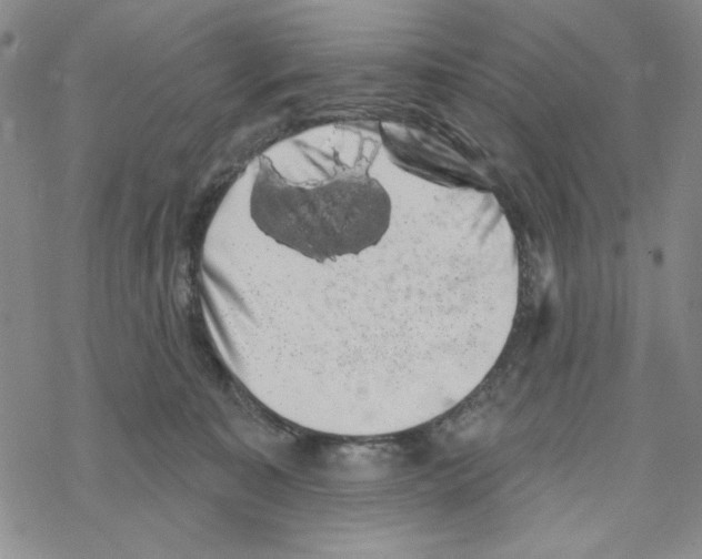 X0000069360323200606091607