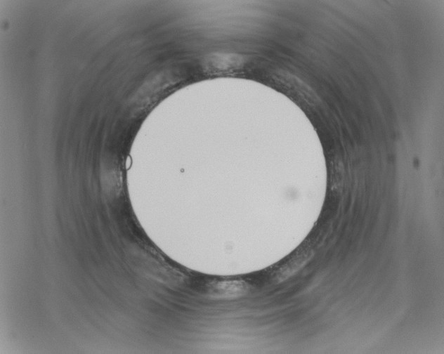 X0000069360324200606091607