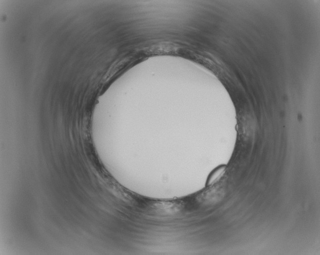 X0000069360326200606091607