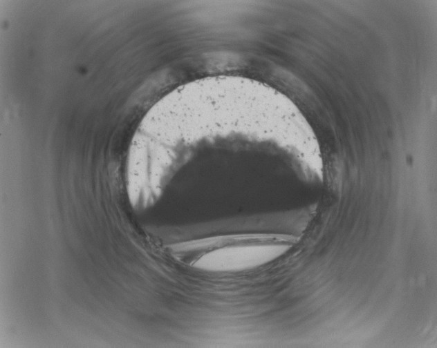 X0000069360327200606091607