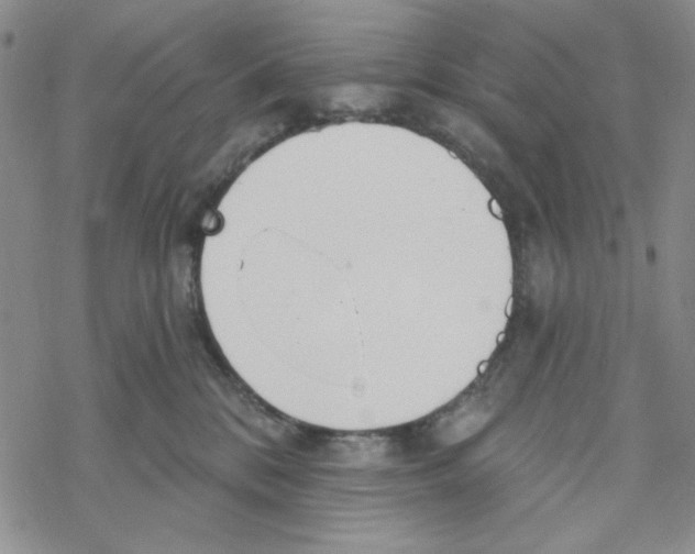 X0000069360328200606091607