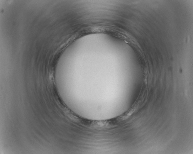 X0000069360329200606091607