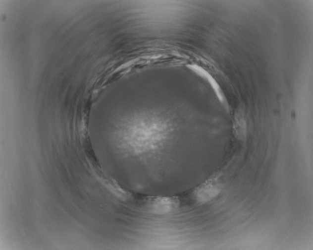 X0000069360330200606091607