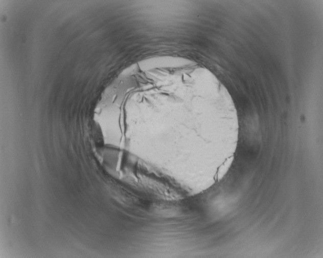 X0000069360331200606091607