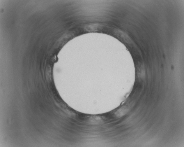 X0000069360332200606091607