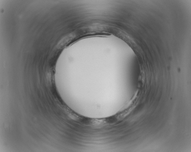 X0000069360333200606091607