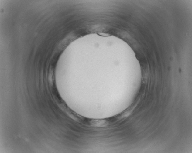 X0000069360334200606091607