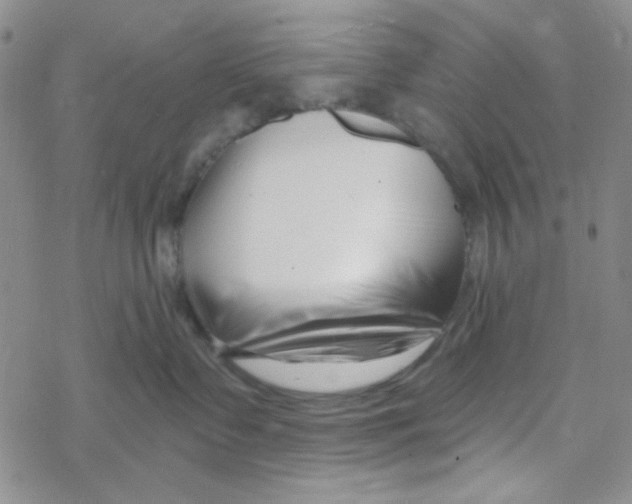 X0000069360335200606091607