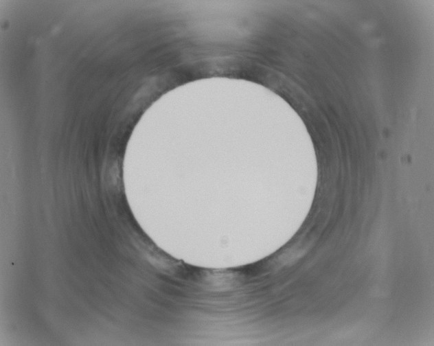 X0000069360336200606091607