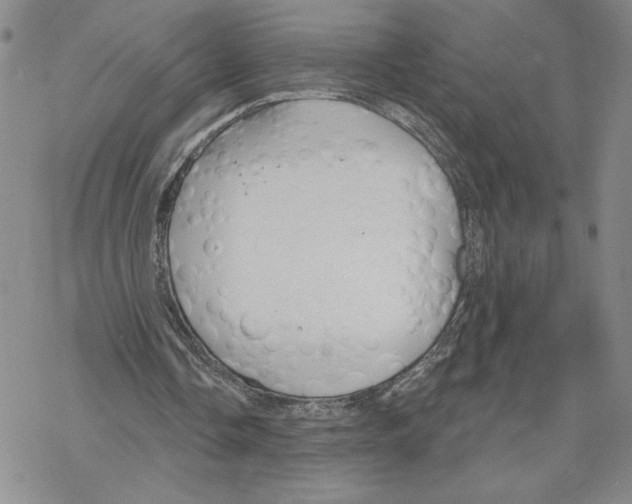 X0000069360338200606091606