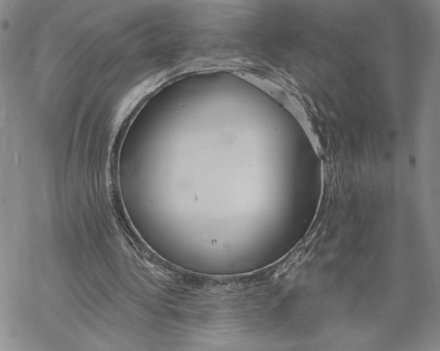 X0000069360340200606091606