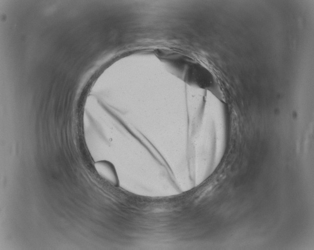 X0000069360342200606091606