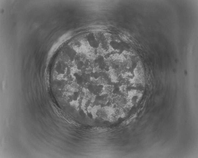 X0000069360343200606091606