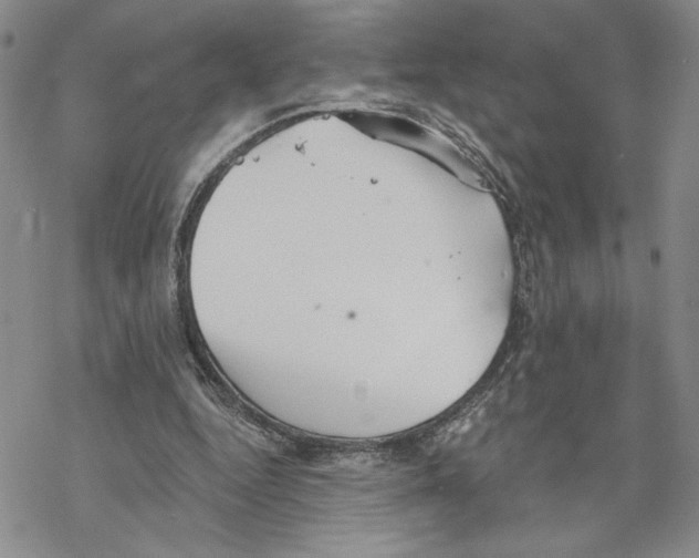 X0000069360344200606091606