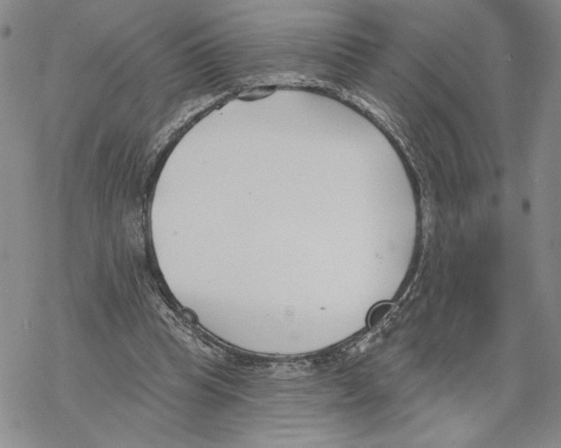 X0000069360345200606091606