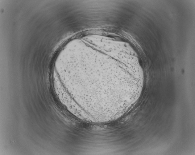 X0000069360346200606091606