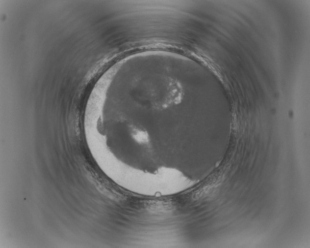 X0000069360347200606091606