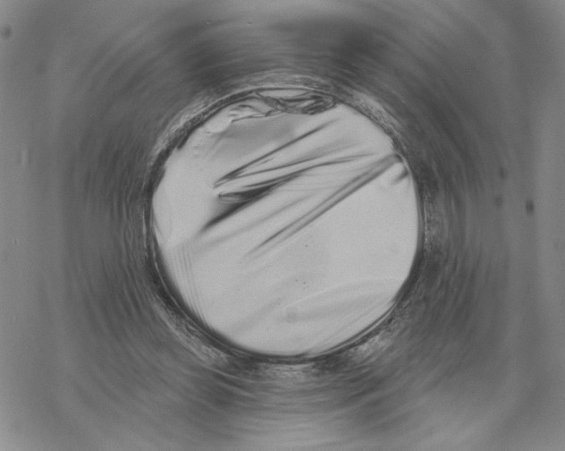 X0000069360349200606091607