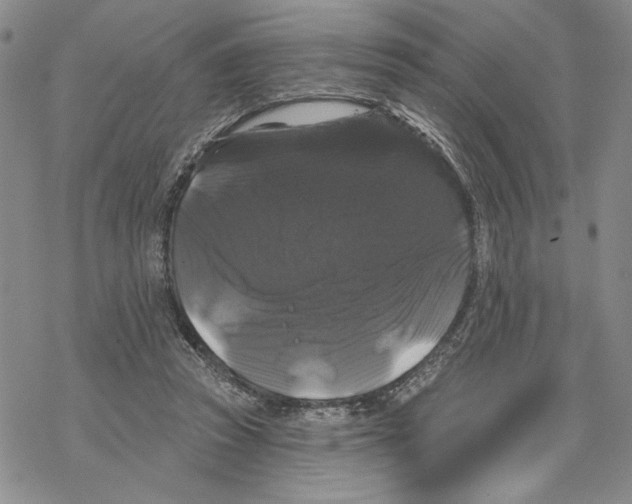 X0000069360353200606091607