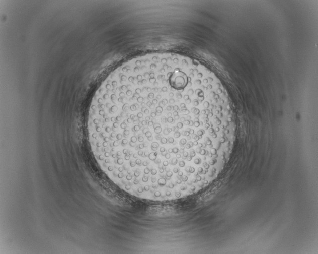 X0000069360354200606091607