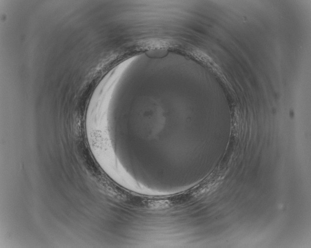 X0000069360355200606091607