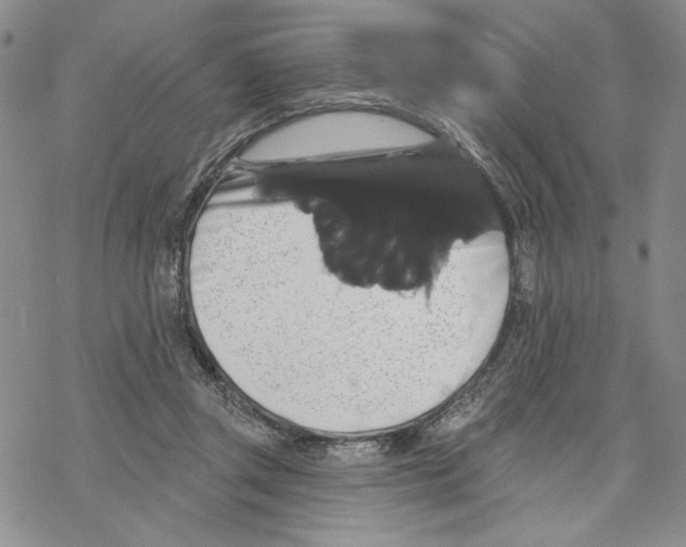 X0000069360357200606091607