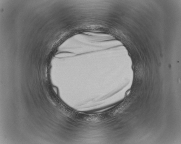 X0000069360358200606091607