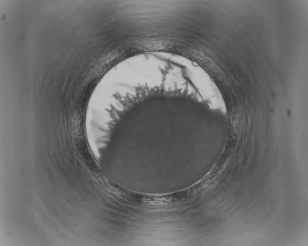 X0000069360359200606091607