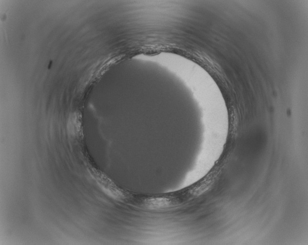 X0000069360361200606091607