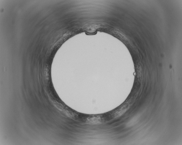 X0000069360362200606091607