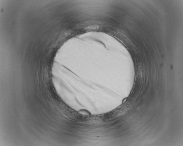 X0000069360363200606091607