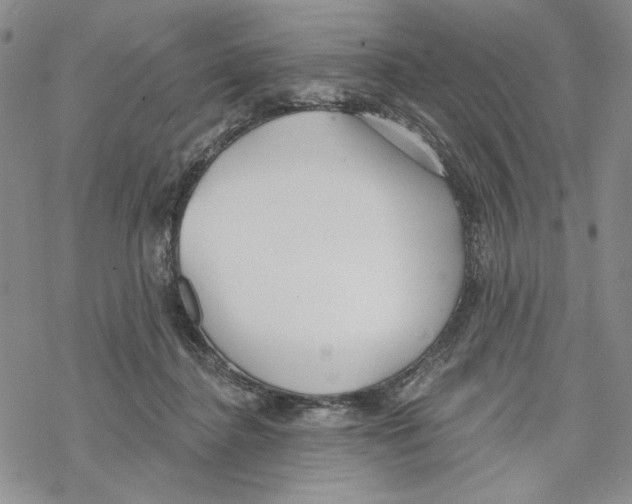 X0000069360364200606091607