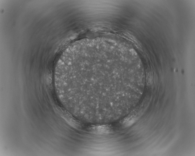 X0000069360365200606091607