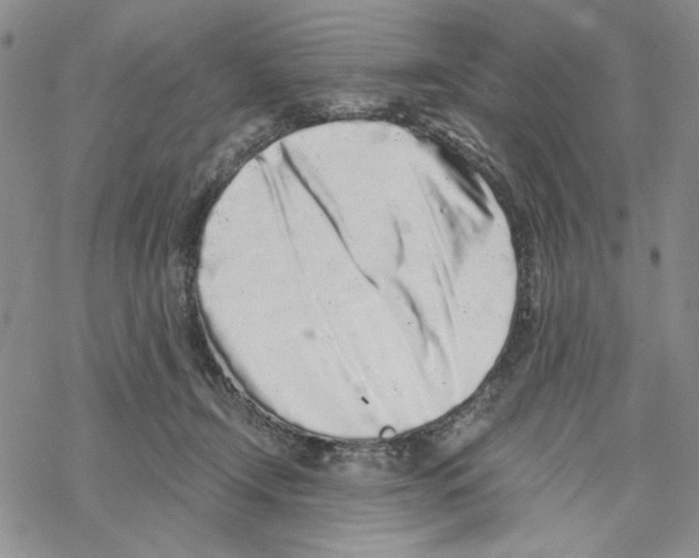 X0000069360366200606091607