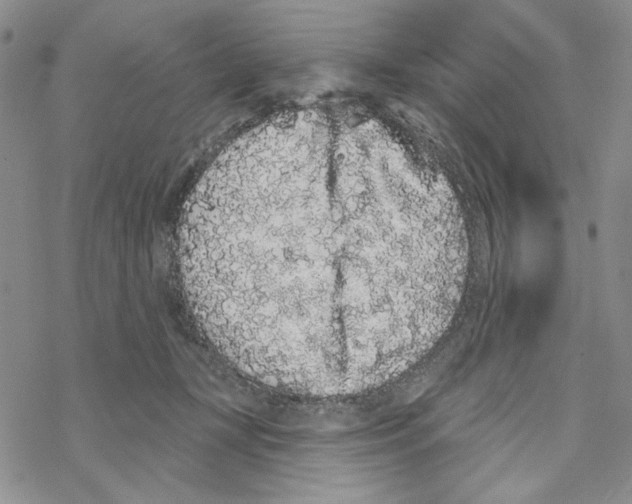 X0000069360367200606091607