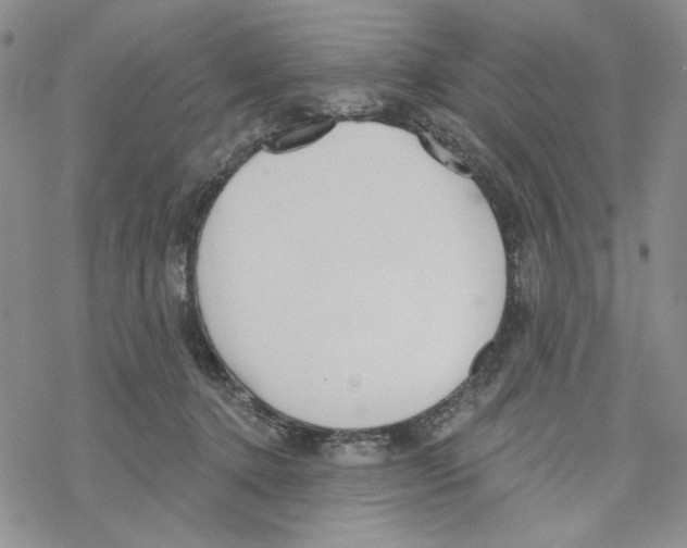 X0000069360368200606091607