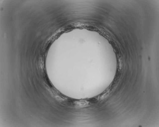 X0000069360372200606091607