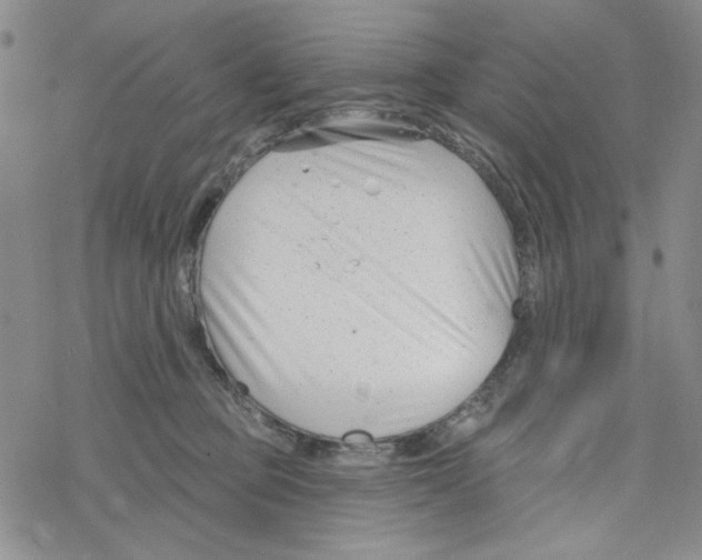 X0000069360373200606091607