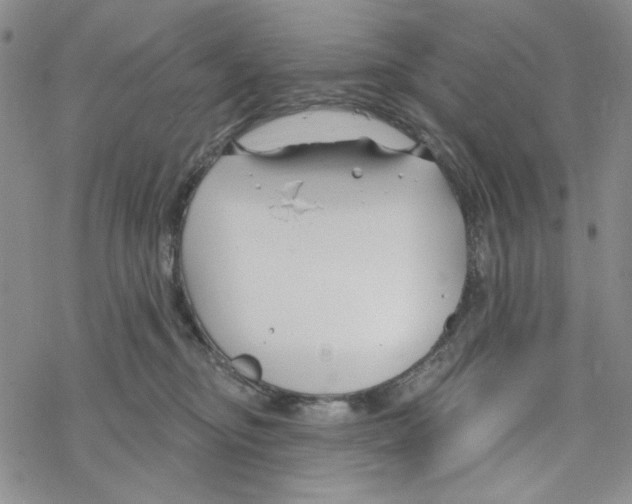 X0000069360374200606091607