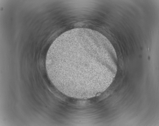 X0000069360375200606091607