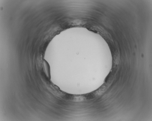 X0000069360376200606091607