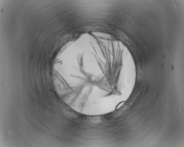 X0000069360377200606091607