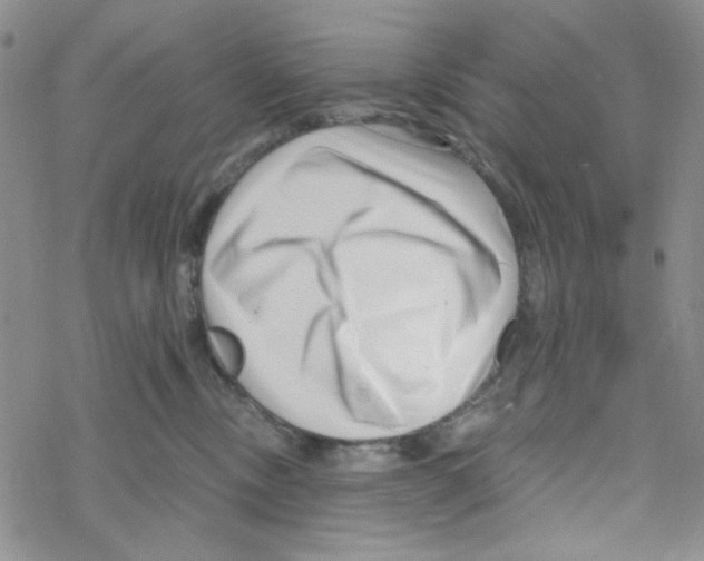 X0000069360378200606091607