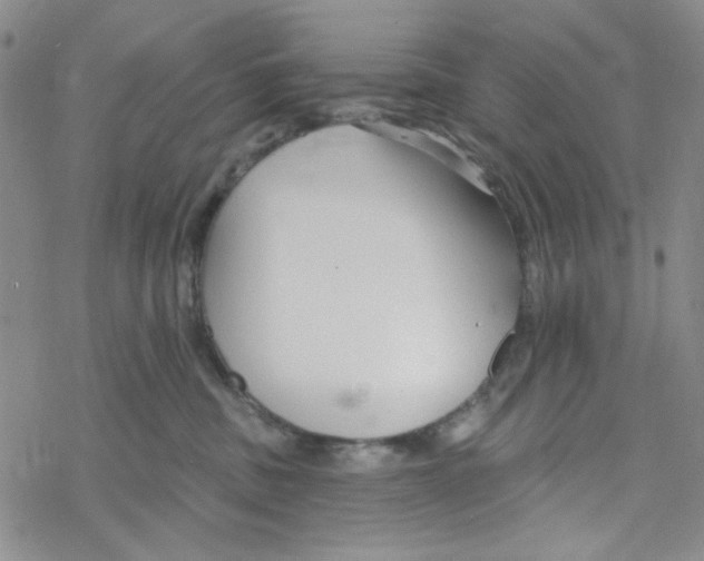 X0000069360379200606091607