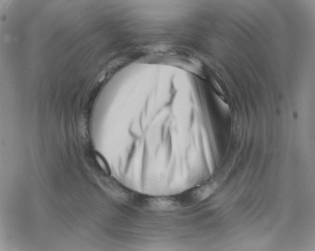 X0000069360380200606091607