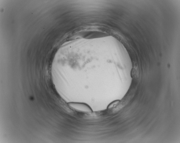 X0000069360381200606091607