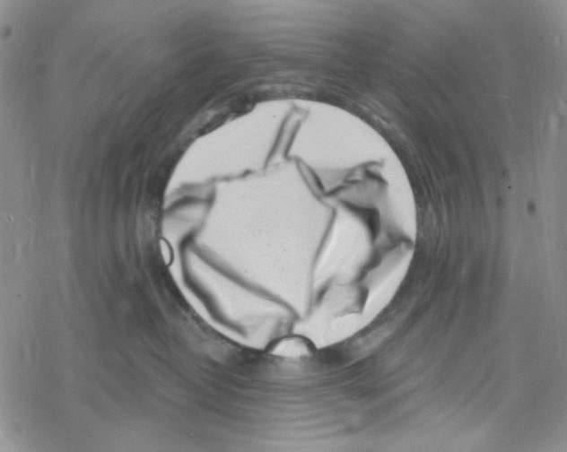 X0000069360382200606091607