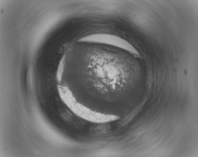 X0000069360383200606091607